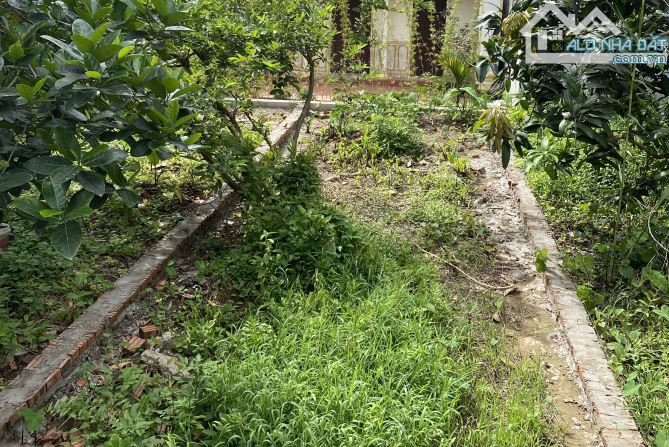BÁN ĐẤT HỮU LÊ- THANH TRÌ. NGÕ THÔNG- RỘNG- VF3 VÀO NHÀ. - 2