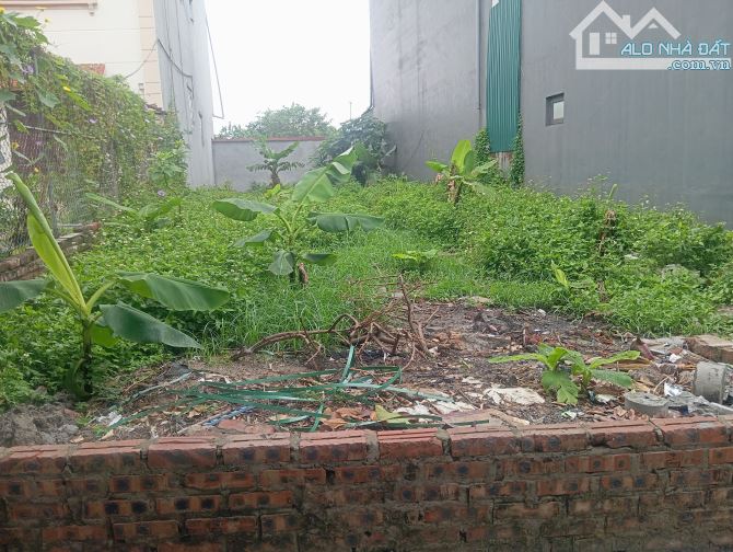 Siêu Phẩm Hàng Hiếm BÁN 150M TRỤC KINH DOANH TÂY CAO TỐC KIM CHUNG ĐÔNG ANH - 2