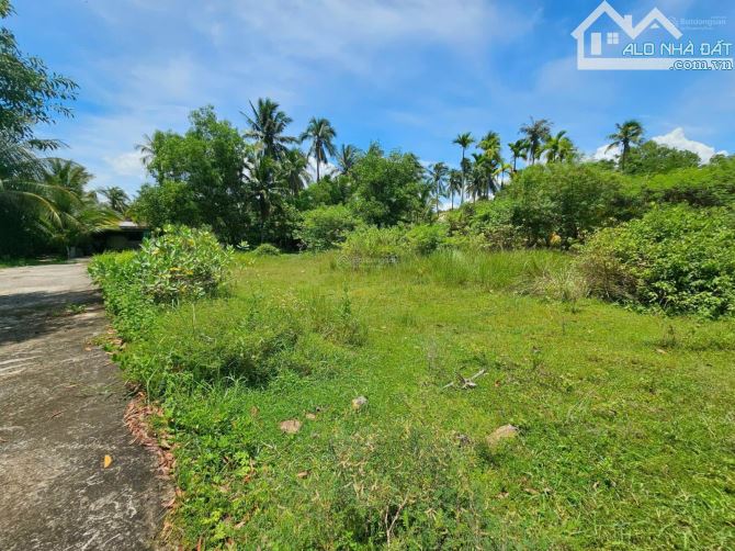 Bán đất Nguyễn Đình Chiểu đường oto tránh - 1000m2 full thổ cư giá 14 tỷ - 2