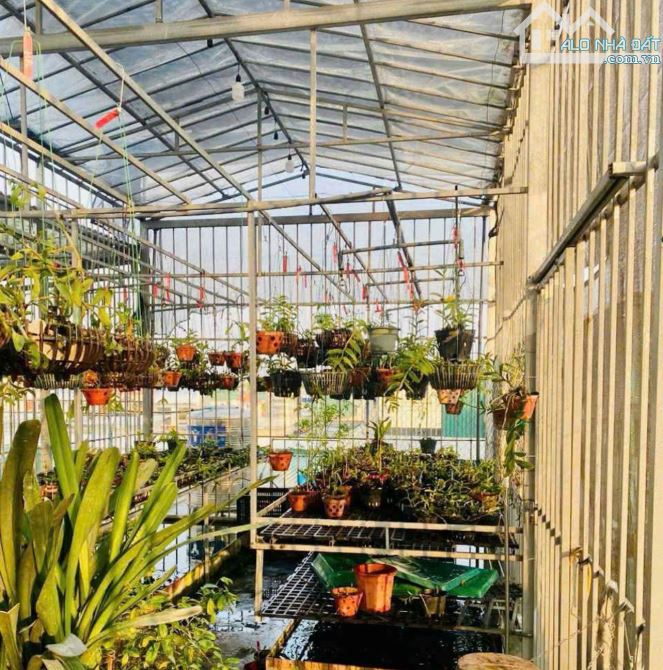 Phố Dương_Văn_Bé, vài bước ô tô tránh, hàng xóm Timecity, 38m2, nhi.ch 6 tỷ - 2