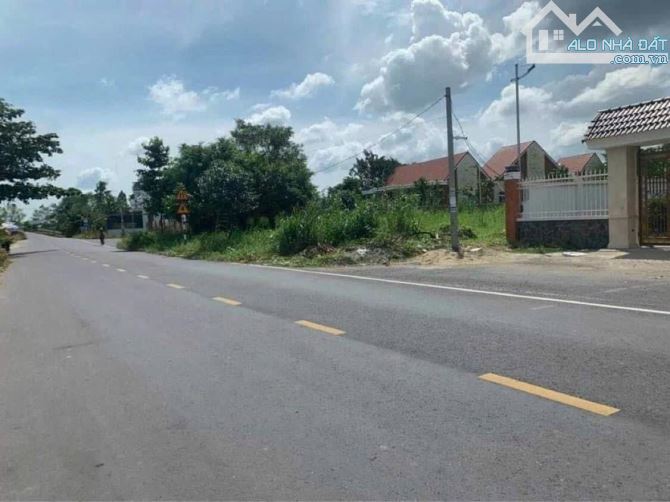 Bán 3.269m2 đất 2 mặt tiền Trương Vĩnh Nguyên, đoạn cầu Ông Tim, lộ 20m, Đông Bắc, sổ hồng - 2