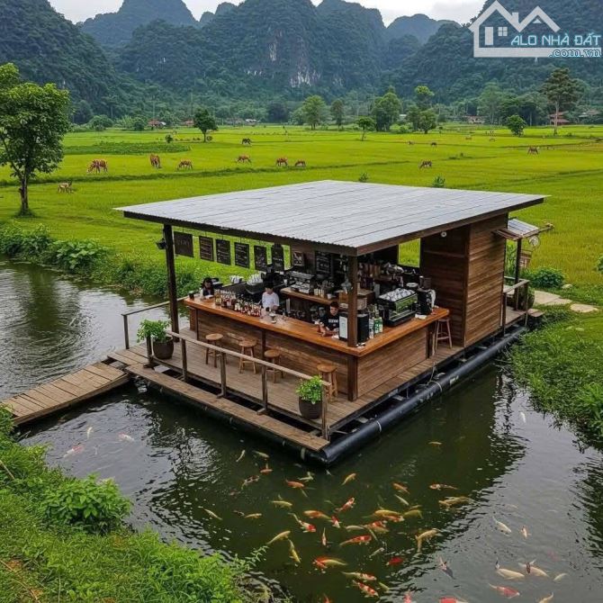 Cần bán lô đất bám sông bôi 60m tuyệt đẹp đất cây lâu năm diện tích 2000m - 3