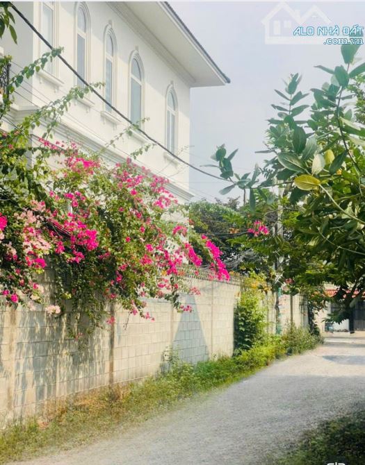 BÁN GẤP LÔ ĐẤT 97M2-GIÁ 1TỶ 890TR - TRƯỜNG HỌC PHẠM VĂN SÁNG -HÓC MÔN - 3