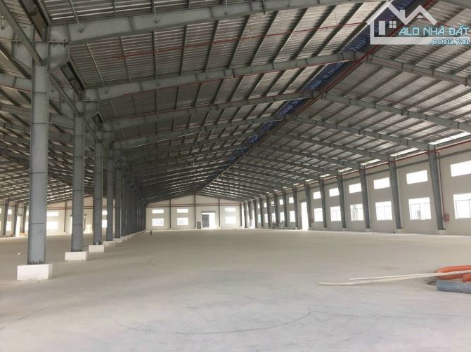 cho thuê 7000m2 kho xưởng tân châu - 3