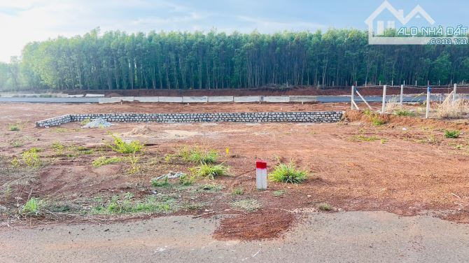 MẶT TIỀN CÁCH MẠNG THÁNG TÁM - THỊ TRẤN ĐẤT ĐỎ -ĐẤT ĐỎ - BRVT 🌈Diện tích 232m2 ngang 11m - 3
