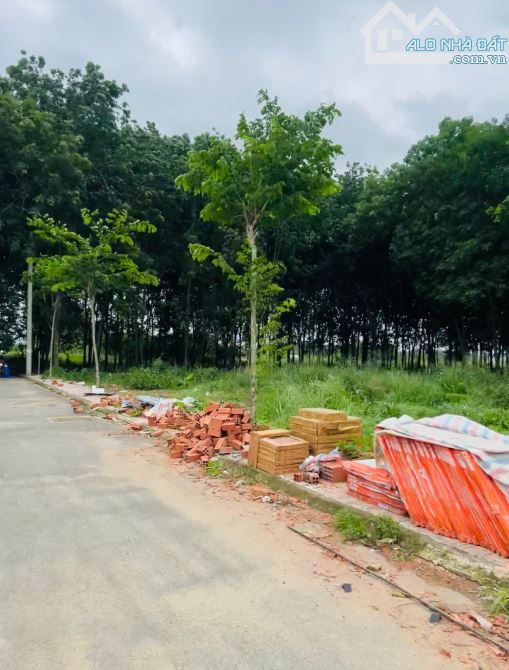 Bán 120m2 đất Quảng Tiến, gần chợ Trà Cổ  Quốc lộ 1A Trảng Bom Đồng Nai - 3