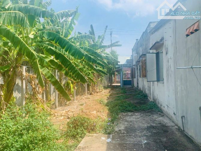 CHÍNH CHỦ GỬI BÁN NHÀ VƯỜN 429m² – MẶT TIỀN ĐƯỜNG ẤP 3, XÃ LONG AN - 3