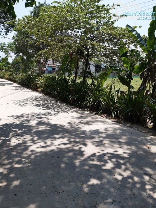 ĐẤT BÀU QUÁNH THÔN 7 THỦY PHÙ, HƯƠNG THỦY - 201.3M2 - 4TRM2 - 3