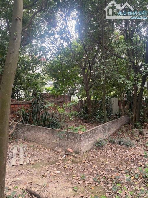 Bán đất phố Tây Mỗ Sổ 40m2, Thực tế 50m2 giá đầu tư 5 tỷ - 3