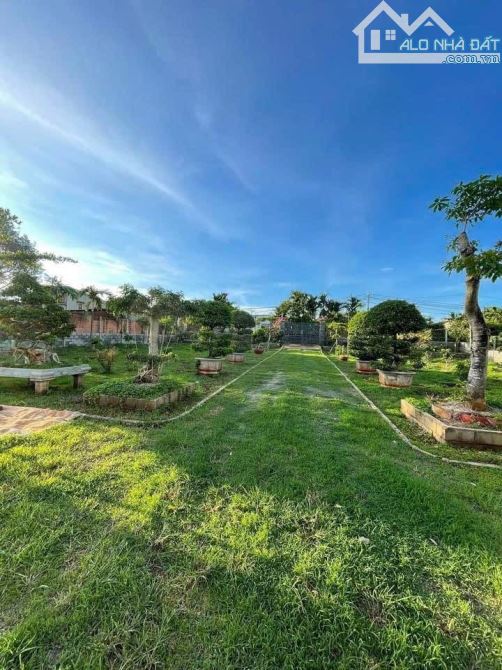 4,5 sào Đạt Lý cách đường 1A 80m có sầu riêng, cau, cây ăn trái - 3