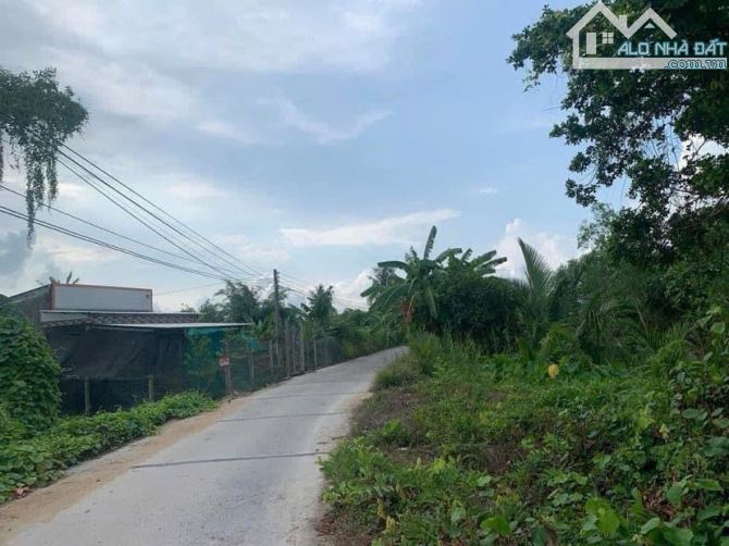 Bán đất 1.200  m2 rạch Ngã Bát đường Trương Vĩnh Nguyên - 4