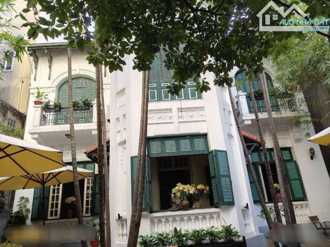Bán biệt thự 3 tầng phố Cát Linh, hợp xây văn phòng, khách sạn 500m2, mt 10, chỉ 244 tỷ. - 4