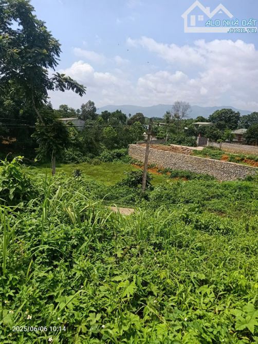 BÁN ĐẤT NGHỈ DƯỠNG VIEW CAO THOÁNG 2497M2 120TC Ở TT LƯƠNG SƠN, HÒA BÌNH - 4