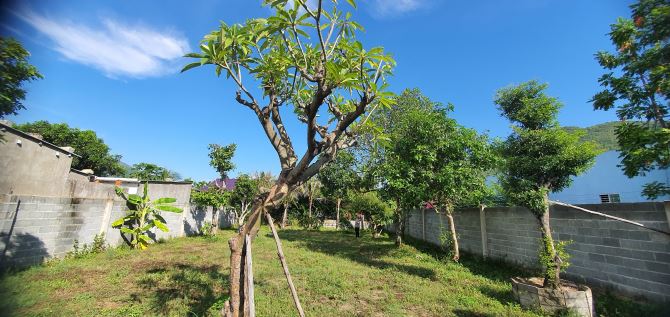 Bán Gấp Lô Đất Thổ Cư 634m2 -  đường 6m Thoáng - Xe Hơi Vào Tận Nơi - Vị Trí Vàng Gần Biển - 5