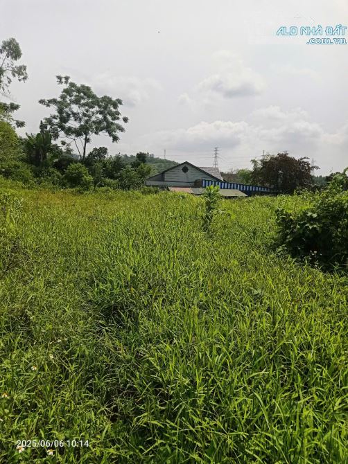 BÁN ĐẤT NGHỈ DƯỠNG VIEW CAO THOÁNG 2497M2 120TC Ở TT LƯƠNG SƠN, HÒA BÌNH - 5