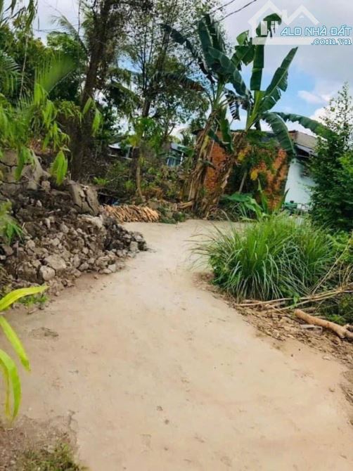 Bán 3.269m2 đất 2 mặt tiền Trương Vĩnh Nguyên, đoạn cầu Ông Tim, lộ 20m, Đông Bắc, sổ hồng - 5