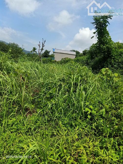 BÁN ĐẤT NGHỈ DƯỠNG VIEW CAO THOÁNG 2497M2 120TC Ở TT LƯƠNG SƠN, HÒA BÌNH - 6