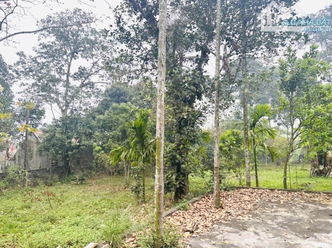 Cần bán lô đất 2300m2 xã lâm sơn lương sơn - 9