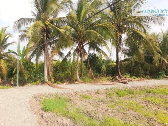 500m2 đất vườn góc 2 mặt tiền 20x 25m, chỉ 420tr - 9