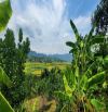 Bán lô đất 1340m có 1180m thổ cư. Trung tâm HC Dũng Phong. MT bám đường 36m. Giá 1,x tỷ