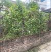 🌟 BÁN LÔ ĐẤT ĐẸP –TRUNG TÂM HẢI BỐI, ĐÔNG ANH – 82M² – CHỈ HƠN 5 TỶ! 🏡