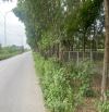 CẦU NHẬT TÂN cách hơn 2km phân lô vuông đẹp mặt tiền rộng chỉ hơn 3 tỷ