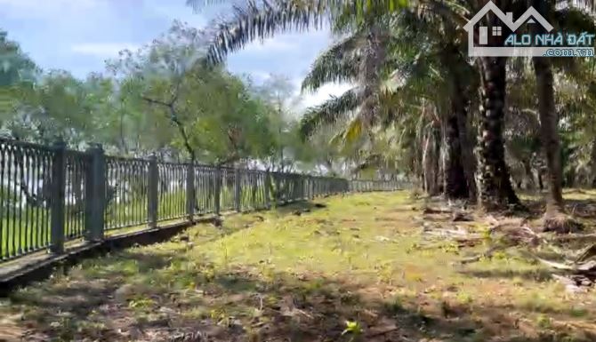 Bán đất đường số 8 Long Phước TP Thủ Đức