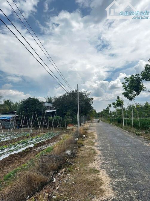 Bán đất đường Nhựa ấp Tân tiến, Xã Tân Lập , Tân Biên Tây Ninh 10x100m giá 399tr