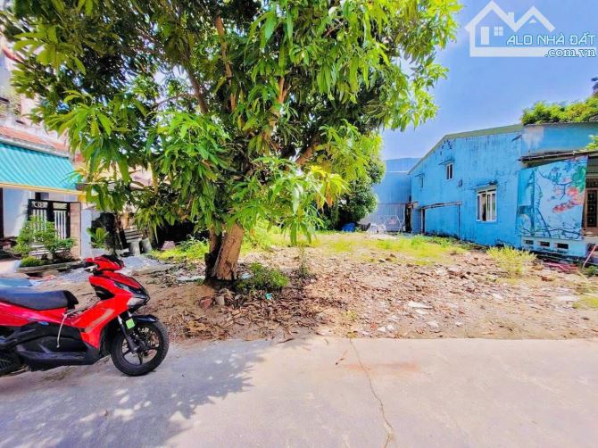 Đất Kiệt Ô Tô 257 Chi Lăng - Phường Gia Hội - Cách Đường Chính Chỉ 80m - 1