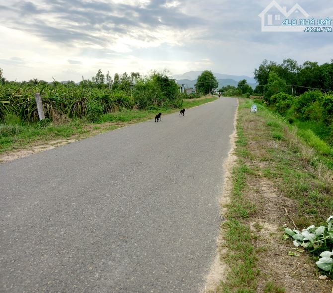 Kẹt tiền bán nhanh đất mặt tiền Nhựa-Hàm Chính- Hàm Thuận Bắc-DT 11.300m2 - 1