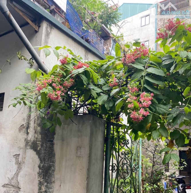 BÁN ĐẤT KHƯƠNG ĐÌNH- MẶT TIỀN RỘNG- VỊ TRÍ ĐẸP - 1