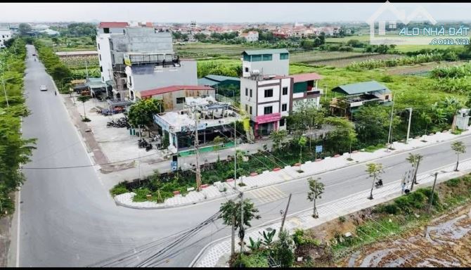 Đất Đấu Giá Tế Tự, Phương Đình, Đan Phượng, DT 75m2, mt5, Chỉ 80tr/m - 1