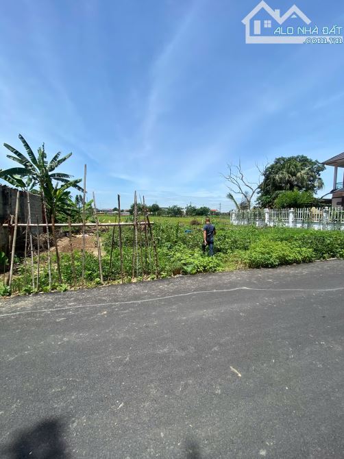 Bán Đất Đẹp 81 m Thị Trấn Gia Khánh , KCN Bình Xuyên, Vĩnh Phúc, Đường To Vật Vã, Giá Rẻ - 1