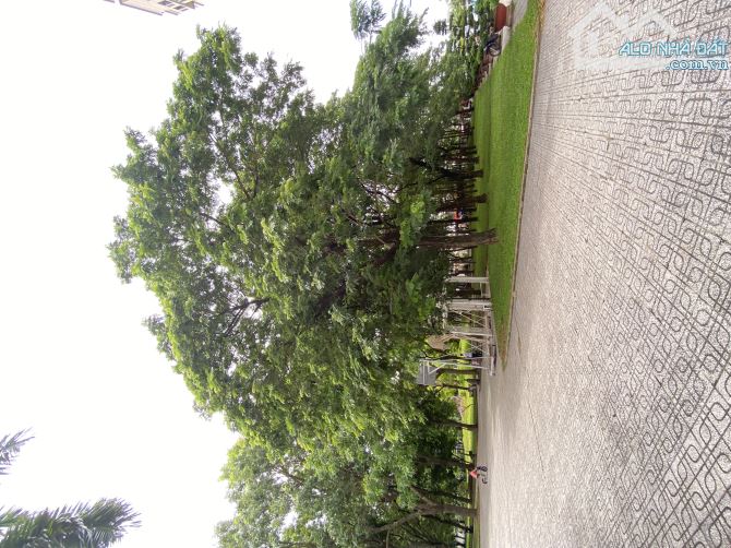 ĐẤT ĐẸP 200M2 – NGANG 8M x 25M – ĐƯỜNG 12M CÓ VỈA HÈ – KHANG ĐIỀN DƯƠNG ĐÌNH HỘI - 1