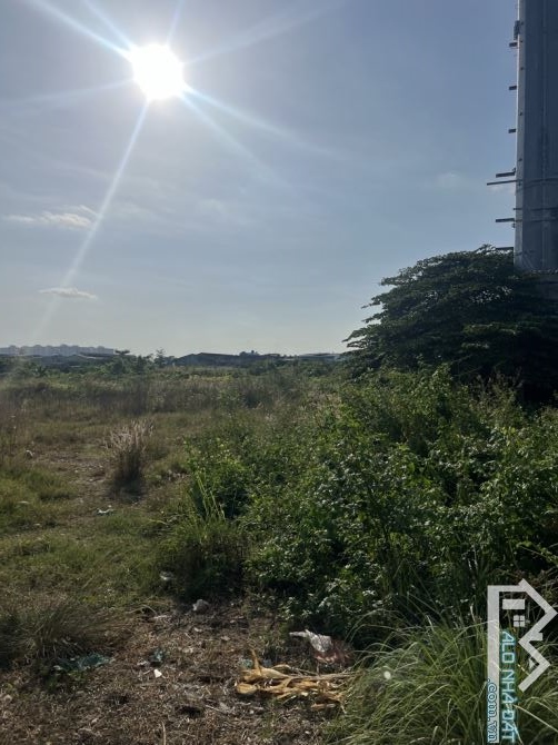 Bán đất đường Tây lân bình tân 11.000m² cực gấp - 1