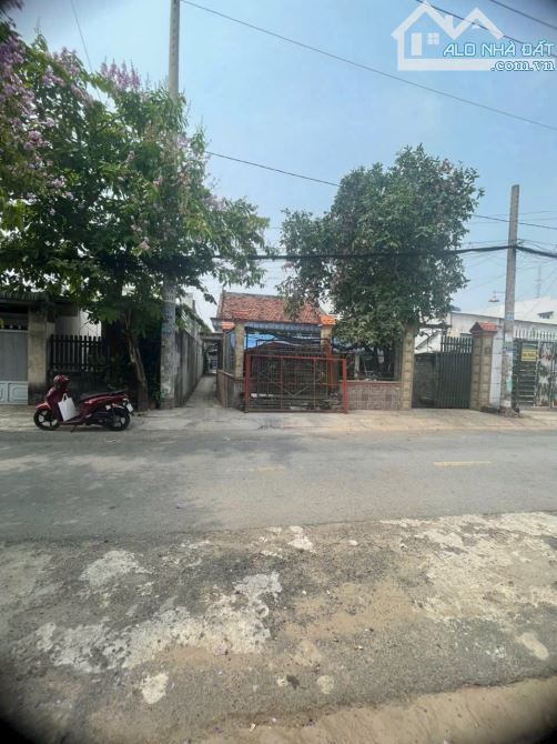 MẶT TIỀN ĐƯỜNG KINH DOANH 8X23 TAM ĐÔNG 25 TRỊNH THỊ MIẾNG DIỆN TÍCH LỚN GIÁ RẺ - 1