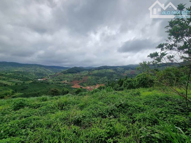 Cần bán đất Tà Nung Tp Đà Lạt  ngay chân đều view rừng  thông tuyệt đẹp - 1