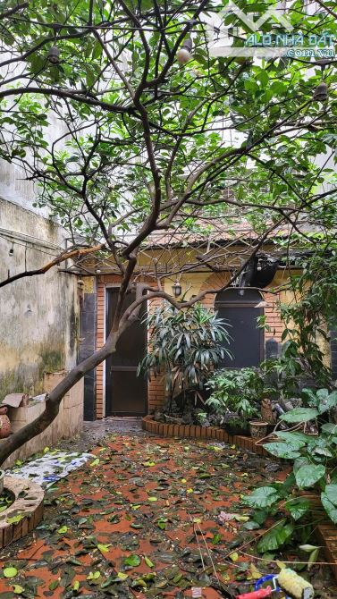 Rẻ quá, bán đất tặng nhà phố Lê Trọng Tấn, Thanh Xuân, ngõ ô tô. 138m2, MT4.6m, 35,2 tỷ - 1