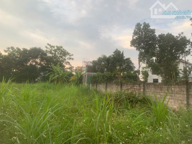 Bán đất Thủy Xuân Tiên Chương Mỹ Hà Nội, Mảnh đất gần 2000m² - 1