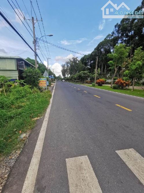 BÁN ĐẤT MẶT TIỀN ĐƯỜNG LÝ THỊ CHỪNG XÃ PHÚ HÒA ĐÔNG CŨ CHI, 85m2 GIÁ CHỈ NHỈNH 1.7TỶ - 2