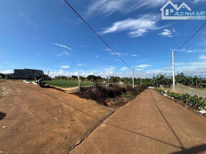 BÁN ĐẤT GẦN SÂN BAY LIÊN KHƯƠNG – ĐỨC TRỌNG – 174M² –  – GIÁ CHỈ TỪ 920 TRIỆU - 2