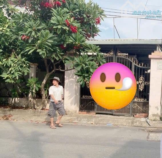 Bán Đất  thổ cư DT lớn 220m²(4,6x48) MT đường THẠNH LỘC 41 phường THẠNH LỘC,Q12💰12,5 tỷ. - 2