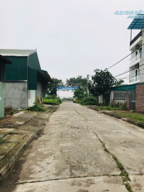 ĐẤT ĐẤU GIÁ LỘC HÀ - MAI LÂM, 100M2 VỈA HÈ PHÂN LÔ, SÁT ĐƯỜNG DẪN CẦU TỨ LIÊN - 2