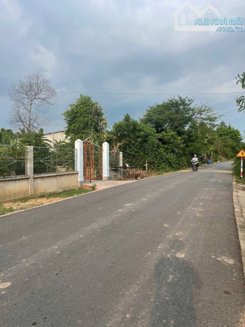 Bán đất trung tâm Phú An 5x42m, đất đẹp xây nhà sân vườn rộng - 1