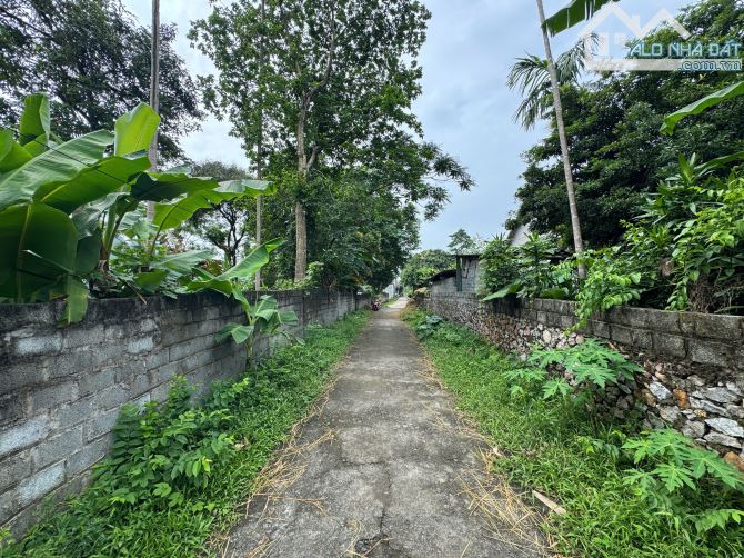 389m Full Đất Ở Đô Thị Trấn Bo - Mặt Tiền 15m Sâu 26m - View Cánh Đồng - 2