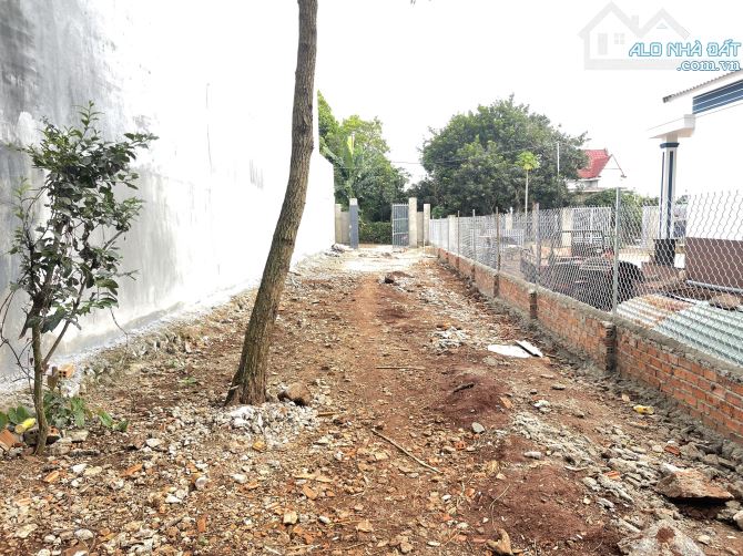 💥Đất TC 5*52m,Đường B4,Phạm Ngũ Lão thôn 6,gần Vành Đai,nhiều lô khác - 3