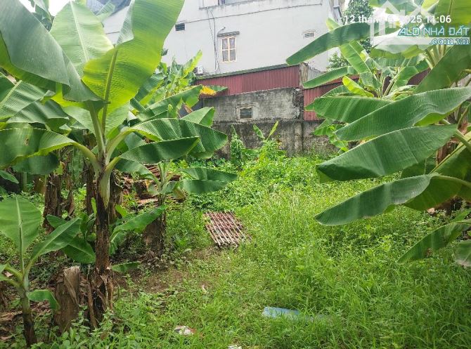 Đất đẹp hơn tờ 500. Xuân Canh, 100m2, mt10m, 16 tỷ, Đông Anh. - 3