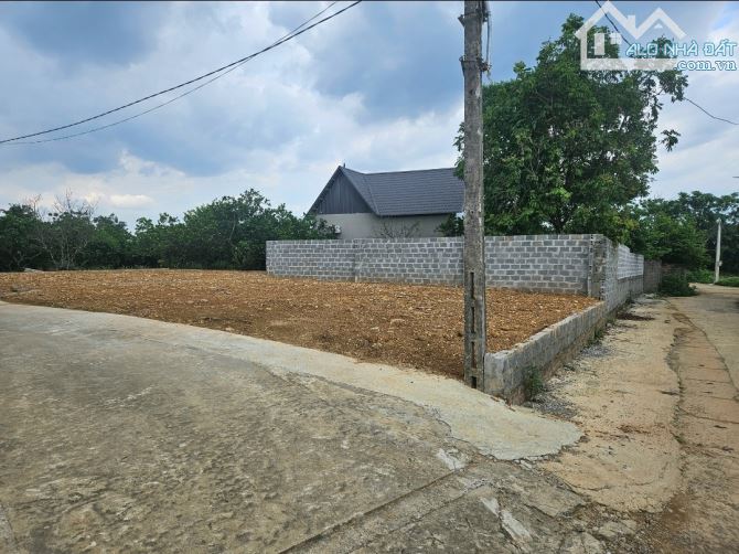 100m2, 💰 2,45tỷ Thổ cư, Lô góc, Nở hậu,  Ô TÔ vào đất .  Yên Thái, Đông Yên, Qu - 3