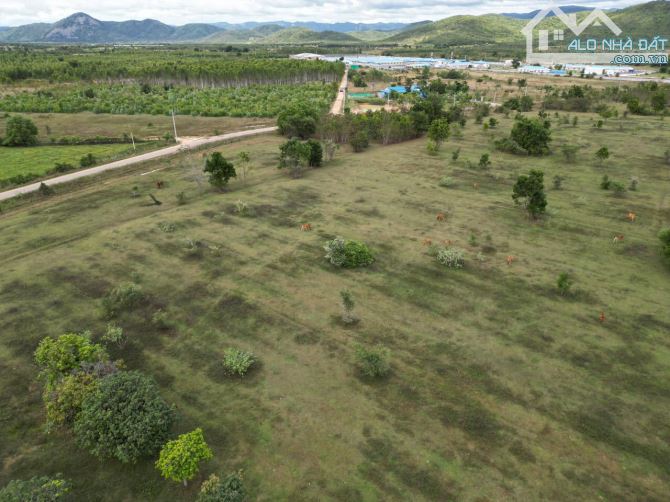Cơ Hội Vàng Sở Hữu  Dự Án Biệt Thự Sinh Thái Biển Phan Thiết Bình Thuận - 120ha Chỉ 950 Tỷ - 3