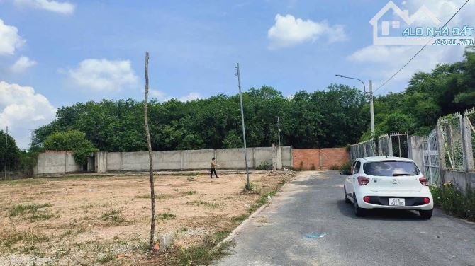 888m2 đất phú an bến cát, mt dx 16 nhựa, chỉ còn 4,2 tỏi - 3